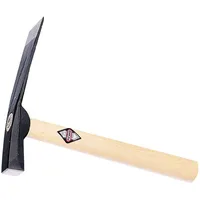 Picard Maurerhammer 750 g