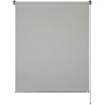 Schöner Wohnen Tageslicht-Rollo Tizia Hellgrau