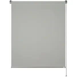 Schöner Wohnen Tageslicht-Rollo Tizia Hellgrau