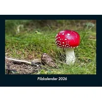 Vero Kalender Pilzkalender 2026 Fotokalender DIN A4 von Tobias