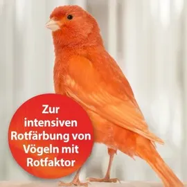 Quiko Intensiv Rot Ergänzungsfutter für Ziervögel mit Rotfaktor 100 g