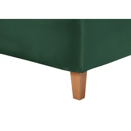 Home Affaire Sunley 100 183 x 210 cm Grün