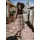 Cartoon Druckkleid A-Linie Beige 34