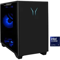 MEDION Gaming-PC "ERAZER Bandit P20", schwarz, Microsoft Windows 11 Home, 32 GB RAM 2000 GB SSD, Computer