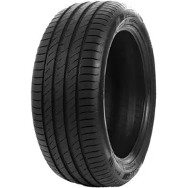 Delinte DS2 205/55 R16 91V