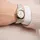 GANT Everett Mini Edelstahl 28 mm G186001