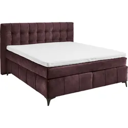 Boxspringbett ED EXCITING DESIGN "Oregon", lila (aubergine), B:200cm L:210cm, 100% Polyester, Komplettbetten, Boxspringbett, inkl. Duo-Matratze - Kokosmatte, Filzabdeckung