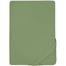biberna 0012344 Frottee-Stretch 90 x 190 - 100 x 200 cm fichte