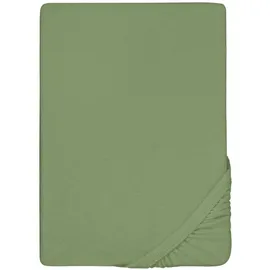 biberna 0012344 Frottee-Stretch 90 x 190 - 100 x 200 cm fichte