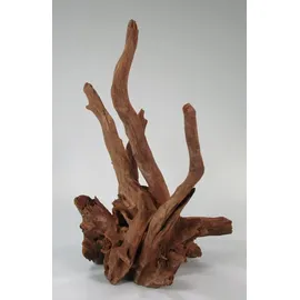 AMAZONAS Orbit Caruqa-Wurzel large