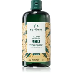The Body Shop Ginger Shampoo gegen Schuppen 250 ml
