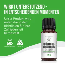 Saint Nutrition Saint Nutrition® Prüfungsvorbereitung Kügelchen | in Phasen von Prüfungsstress 10 g Globuli