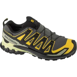 Salomon XA Pro 3D V9 GTX Herren Urban Chic/Black/Cress Green 44