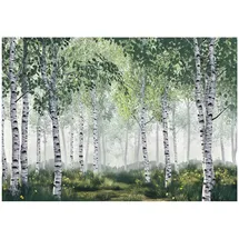 WallArena - Vlies Fototapete Wald Landschaft 150x105 cm - Fototapeten - Tapeten - für Wohnzimmer Schlafzimmer - Vliestapete Wandtapete Tapete 3D Effekt- inkl. Kleister - Natur Birkenwald Birken