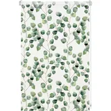 GARDINIA Rollo Isabella 80 x 150 cm lichtdurchlässig