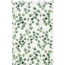 GARDINIA Rollo Isabella 80 x 150 cm lichtdurchlässig