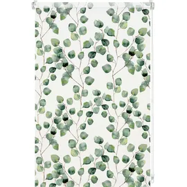 GARDINIA Rollo Isabella 80 x 150 cm lichtdurchlässig
