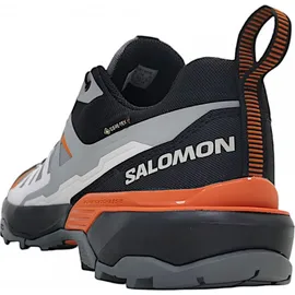 Salomon X Ultra 360 GTX Herren Quiet Shade / Black / Spice Route 42