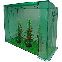 DEMA Tomatengewächshaus 2 x 0,8 x 1,7 m
