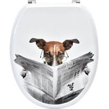 WC SITZ TOILETTENDECKEL KLODECKEL KLOBRILLE DECKEL TOILETTENSITZ HUND NEWSPAPER