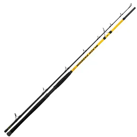 Black Cat Welsrute Allround Schwarz 2,70 m 600 g