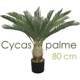 Decovego Künstliche Palme groß Kunstpalme Modell 9, 80 cm hoch Decovego - Grün,