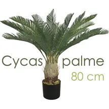 Decovego Künstliche Palme groß Kunstpalme Modell 9, 80 cm hoch Decovego - Grün,