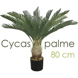 Decovego Künstliche Palme groß Kunstpalme Modell 9, 80 cm hoch Decovego - Grün,