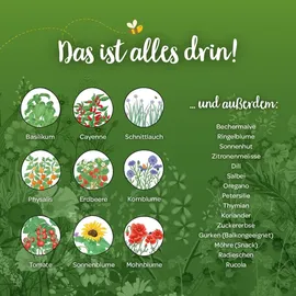 Die Stadtgärtner Saatgut-Adventskalender Die Stadtgärtner 2023