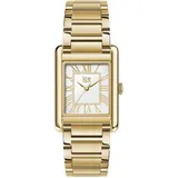 ICE-Watch Ice Power PW6 Edelstahl 23x34 mm 025720