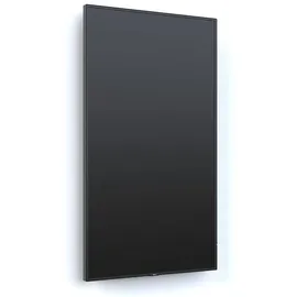 sharp display solutions MultiSync P495 49"