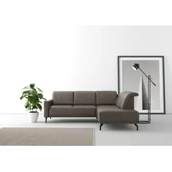 Ecksofa SIT & MORE "Bailando L-Form", braun, B:249cm H:84cm T:205cm, Sofas, wahlweise mit Kopfteilverstellung und Vorziehsitz, motorisch