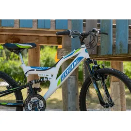 KS-Cycling KS Cycling Kinder-Mountainbike 24'' Zodiac RH 38 cm