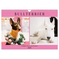 Calvendo Bullterrier. Freudiges Wesen und Charakter (Wandkalender 2026 DIN