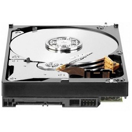 Western Digital Mainstream 2 TB 3,5" WDBH2D0020HNC-ERSN