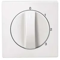 Merten Zentralplatte pws 437319