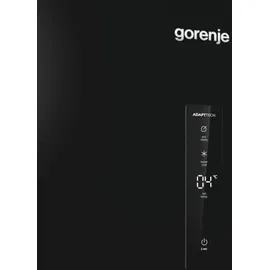 Gorenje R619DABK6