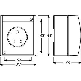 Busch-Jaeger Busch-Nema-Steckdose 1 St. Gelb