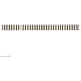 LGB Gerades Gleis 1200 mm 10610 G