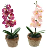 Kunstorchidee im Topf, Kunstpflanze, 2er Set künstliche Orchidee, Kunstblumen Orchidee, Dekoleidenschaft, Höhe 25 cm, Pflanzen wie echt, kleine Blumen in rosa und pink rosa