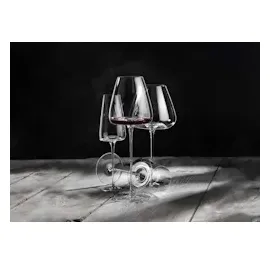 Zieher Vision Nostalgic Weinglas Kristallglas 0,25 l 2er Set