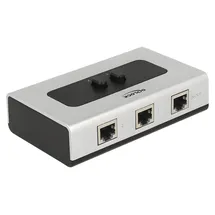 DeLock Umschalter RJ45 2 Port manuell bidirektional