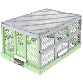 KEEEPER Profi-Klappbox ben 54 x 37 x 28 cm 2-tlg. grün