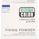 Kryolan GmbH Dermacolor Camouflage Fixierpuder large P3