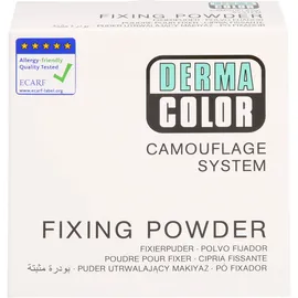Kryolan GmbH Dermacolor Camouflage Fixierpuder large P3