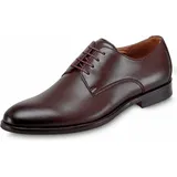 DIGEL Sebastian braun 43