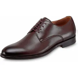 DIGEL Sebastian braun 43