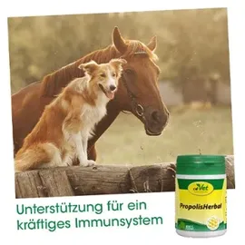 cdVet Propolis Herbal 45 g