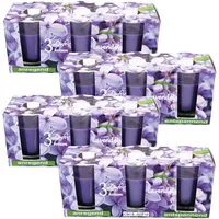 HS Candle Duftkerzen Classic 12er Pack Lavendel