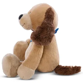 NICI Hund Barky 30cm Geschenkpackung – Braun